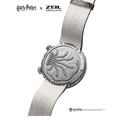 ZB-ZBL1019  Zbioland x Harry Potter SNAKE :Chamber of Secrets